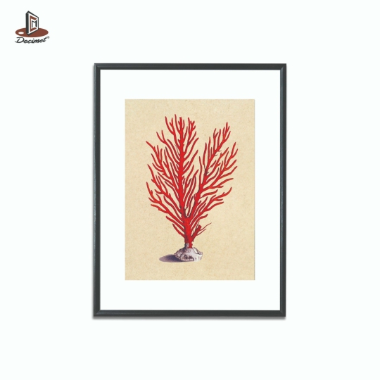 Tranh Khung Composite Đen Mỏng Red Sea Coral #2