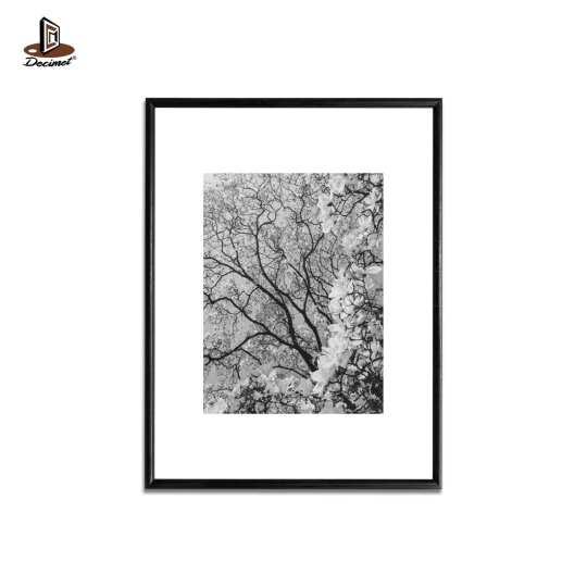 Tranh Khung Composite Đen Mỏng FrameCherry Blossom BW
