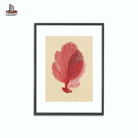 Tranh Khung Composite Đen Mỏng Red Sea Coral #4