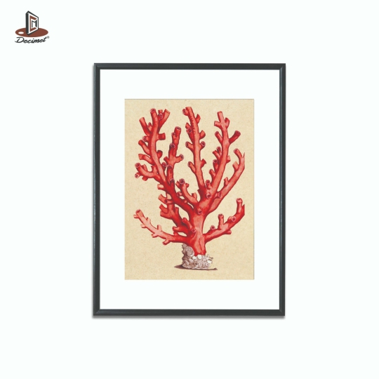 Tranh Khung Composite Đen Mỏng Red Sea Coral #3