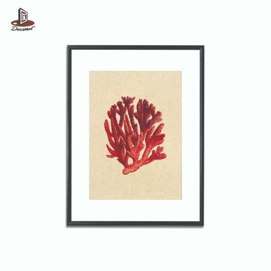 Tranh Khung Composite Đen Mỏng Red Sea Coral #1