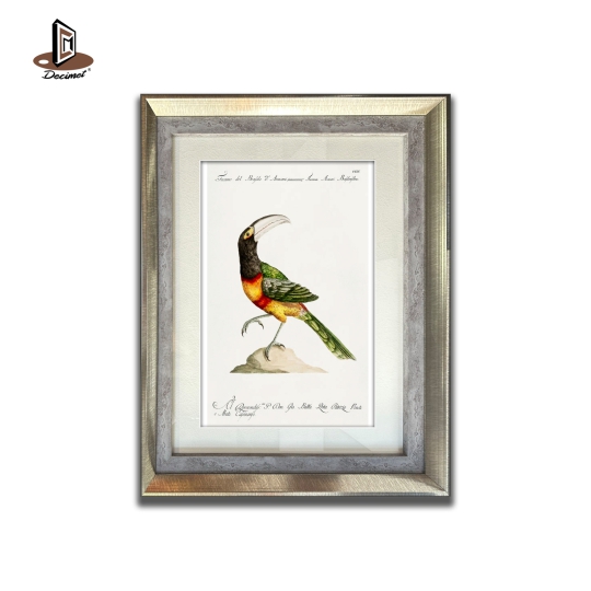 Tranh Khung Composite Ghép Tucana Aracari Brasilensibus