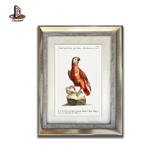 Tranh Khung Composite Ghép Gray and Red Variegated Guinea. Parrot