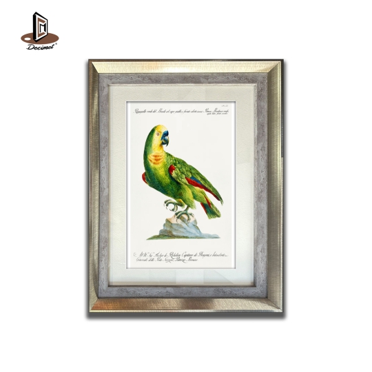  Tranh Khung Composite Ghép Pappagallo. Parrot