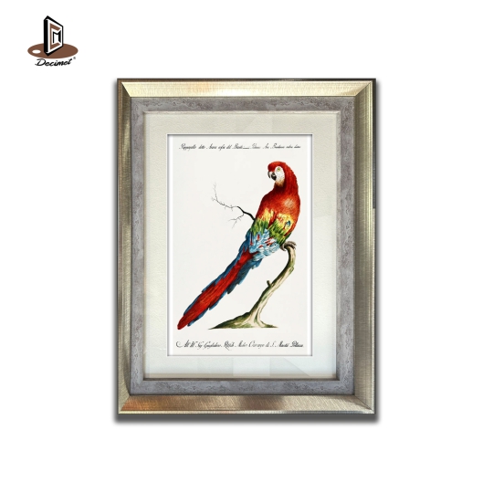 Tranh Khung Composite Ghép Red Arara. Parrot