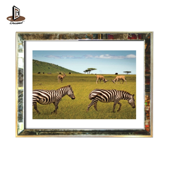 Tranh Khung Gương Loang Zebra
