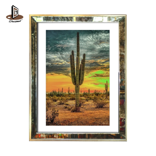 Tranh Khung Gương Loang Cactus